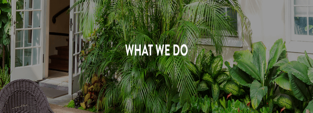 What We Do